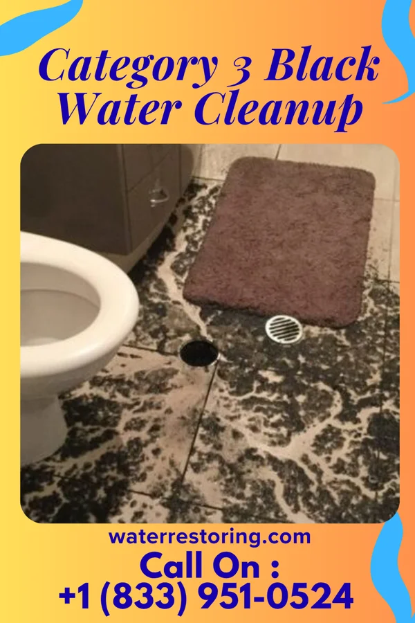 Category 3 Black Water Cleanup in Saranac Lake, NY