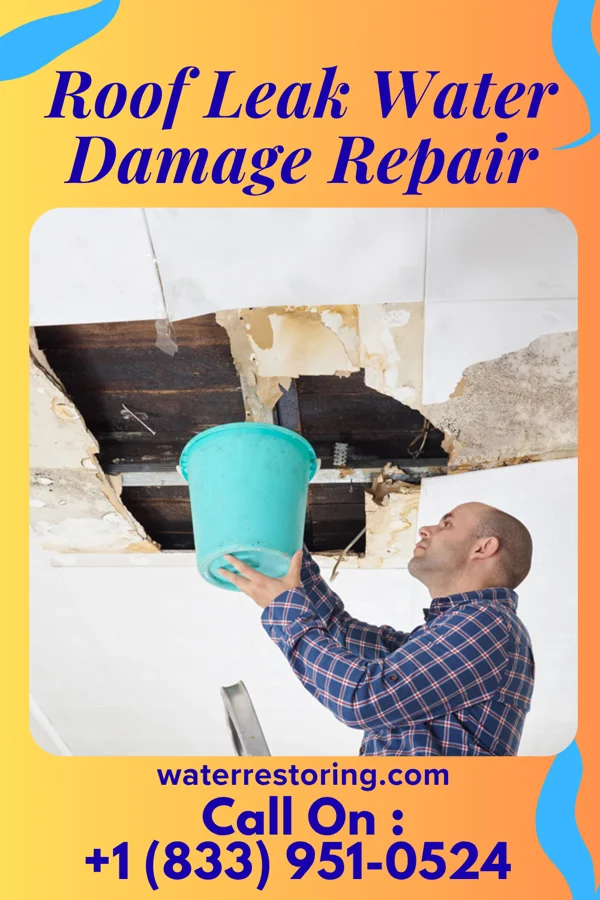 Roof Leak Water Damage Repair in Saranac Lake, NY