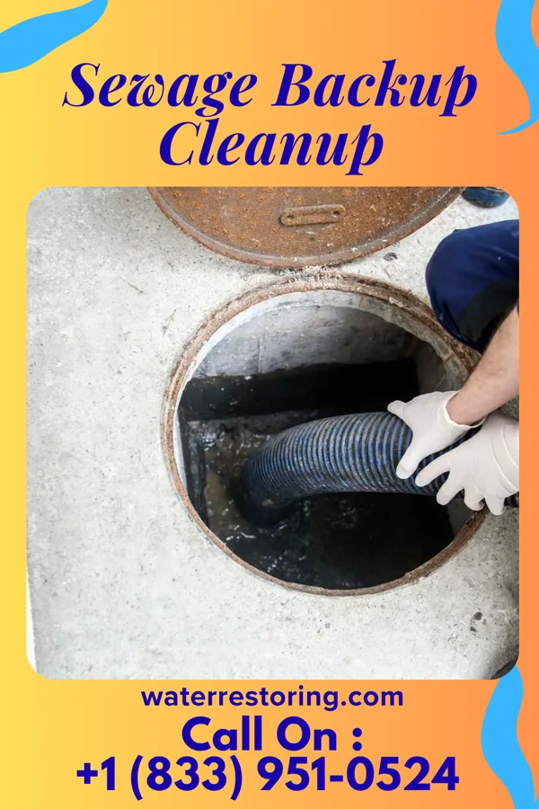 Sewage Backup Cleanup in Saranac Lake, NY
