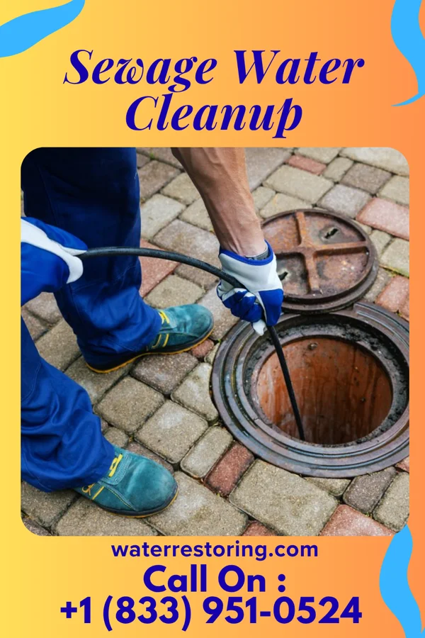 Sewage Water Cleanup in Saranac Lake, NY